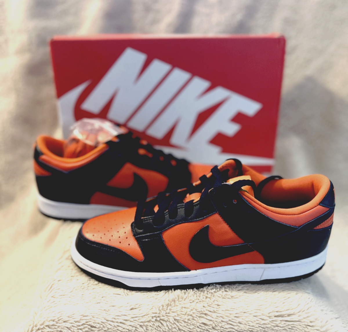 NIKE DUNK LOW SP 