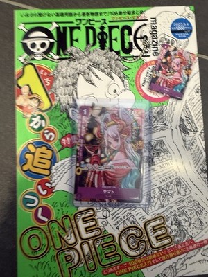 One Piece Magazin vol. 17 Japanisch Mit promo P-046