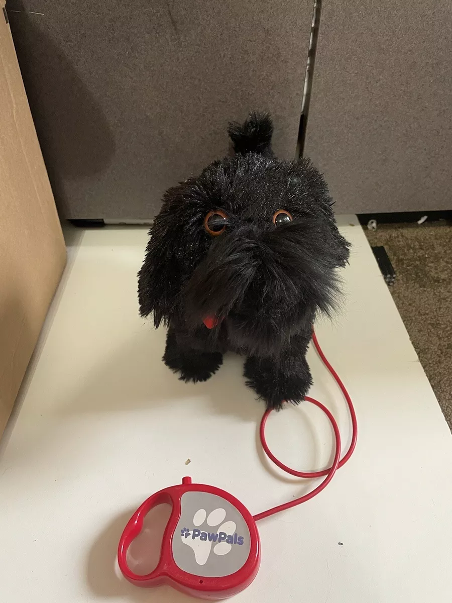 Hairy maclary best sale soft toy dog