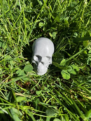 Concrete Human Skull