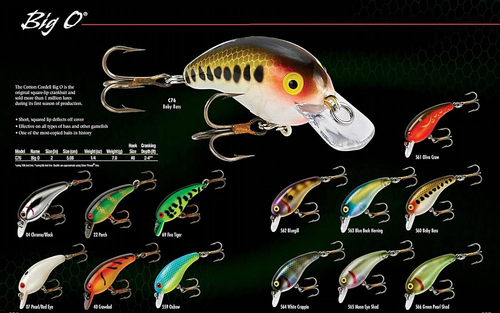 Big O - Perch - 2 In - Picture 4 of 12