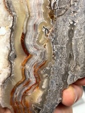Mexican Laguna Crazy Lace Agate Slab Cabbing Collecting Combo Ship Avail
