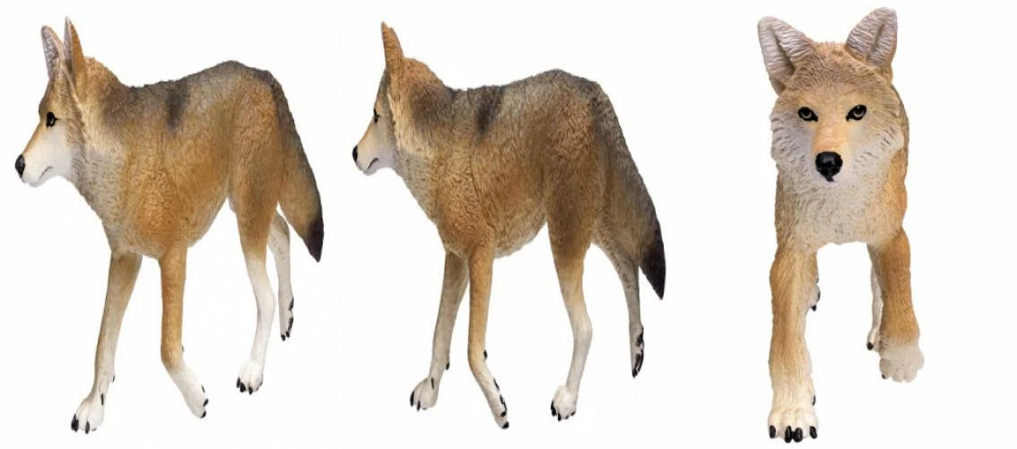 Safari ltd coyote sales