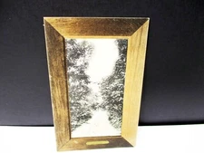 Lover’s Lane Bald Eagle Mountain Williamsport Warrensville 1908 Post Card