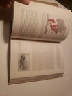 Picture 19 of 21