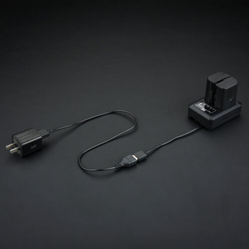 USB Dual Battery Charger fits Panasonic DMW-BLF19 for Panasonic GH5S GH5 GH4 GH3 - Picture 4 of 12