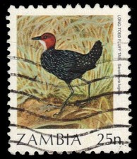 ZAMBIA 377 (SG487) - Long-tailed Fluff Tail "Sarothura lugens" (pf95190)