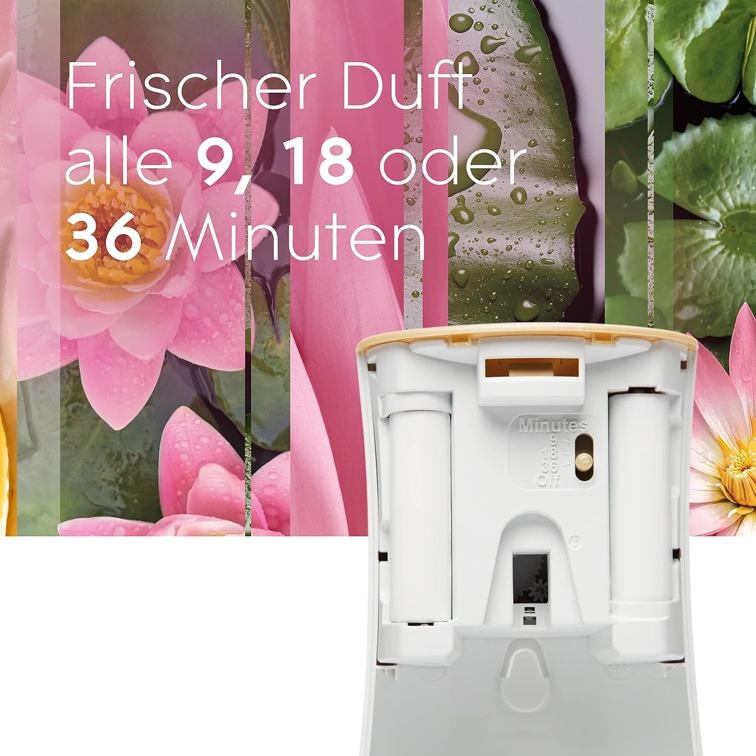 Bild 2 von 11