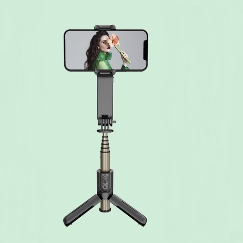 Mini Steadicam Head Both Selfie Stand Stabilizer Vertical Horizontal Shooting - Photo 25 sur 26