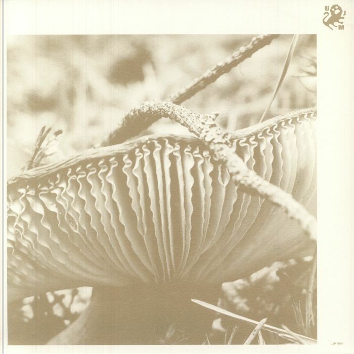 LATE NIGHT POEMS - Rise & Bloom - LP LIMITED TO 100 COPIES