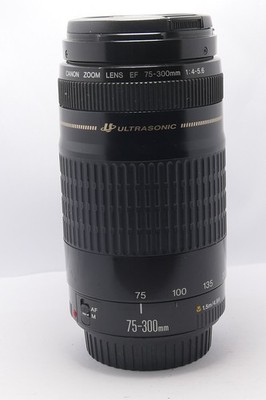 Canon EF 75-300mm USM Objektiv für EOS 4000D 2000 1000D 1200D 1300D 1100D 90D 80D 7D