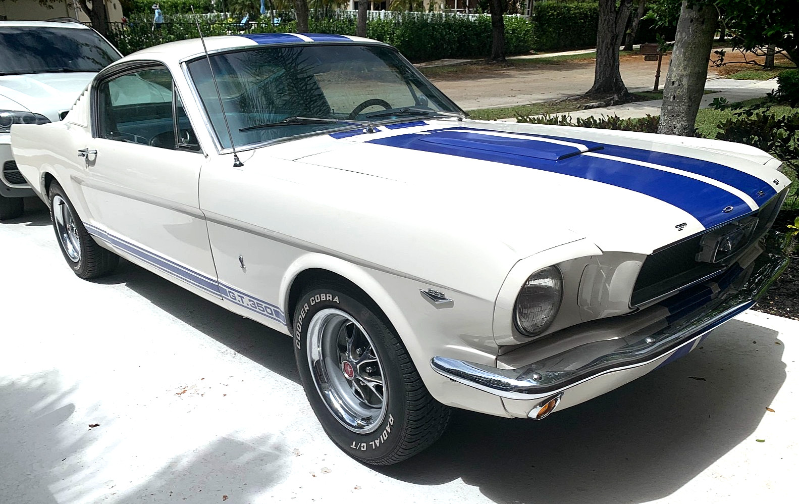 1965 Ford Mustang for sale in Miami Florida