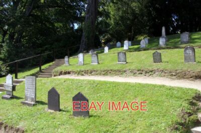 PHOTO  PETS' CEMETERY POWERSCOURT COUNTY WICKLOW IRELAND IN A CLEARING TO THE WE