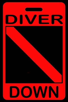 Hi-Viz Red Personalized ''Diver Down'' SCUBA Diving Luggage/Gear Bag Tag