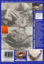 Malmok Cemetary Giants / Giant Human skeletons / 13 x 19 poster