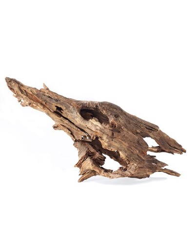 AP Naturals Malaysian Driftwood Extra Large 40-50cm 724788 - Picture 2 of 4