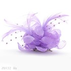 Bild 10 von 23