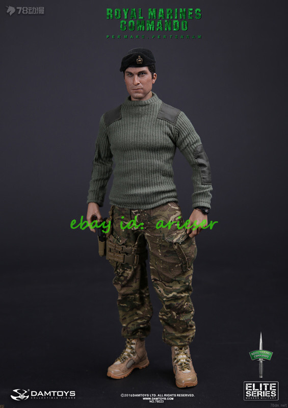 Damtoys 1/6 Elite Series 78023 Royal Marines Commando Action