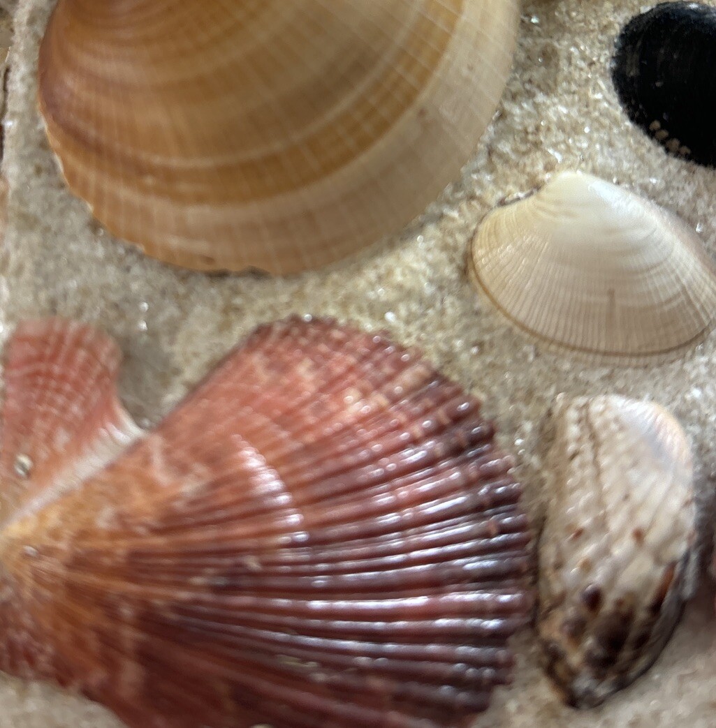 Picture 8 of 8