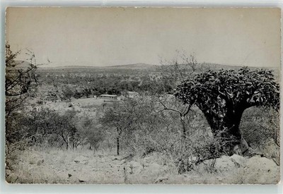 13281926 - A baobab tree above a settlement place handwritten