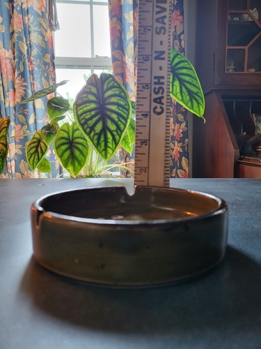 Vintage MCM Ceramic Ashtray, Moss Green with Berries, 5" Diameter / 3 Slot - Picture 9 of 9