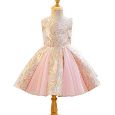 Flower Kid Girl Formal Ball Gown Dress Sleeveless Princess Wedding Frock Pink