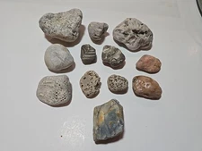 Mineral And Fossil Stones From The Michigan Great Lakes Lot Of 12