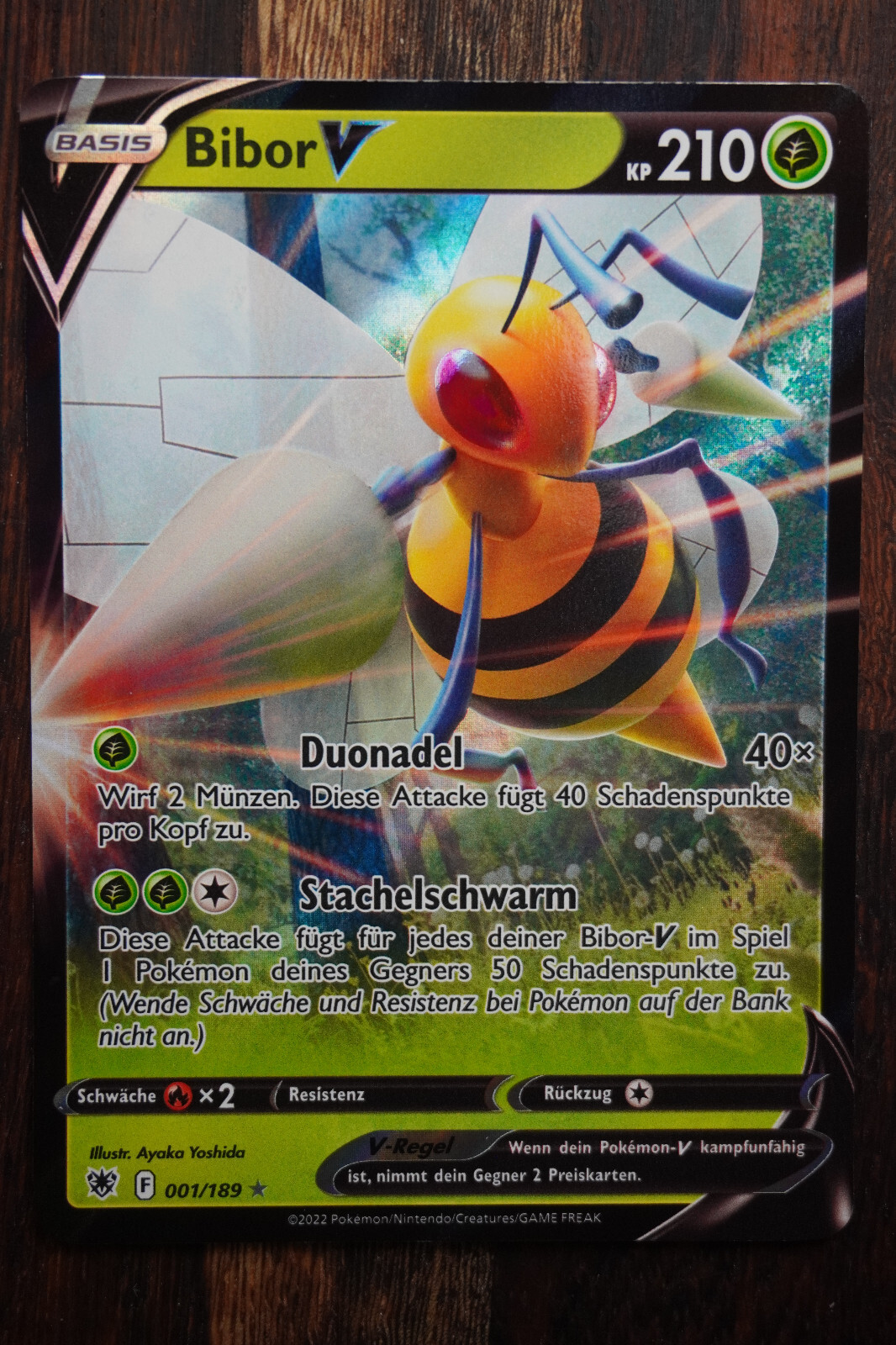 Bild 50 von 212