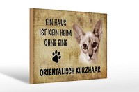 Holzschild Spruch 30X20 Cm Orientalisch Kurzhaar Katze Deko Schild Wooden Sign