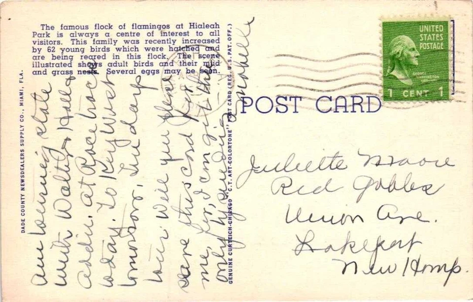 US POSTAL HIALEAH FLA, 1940 #804 TO NEW HAMPSHIRE LINEN WAVY CANCEL - Image 2 of 2