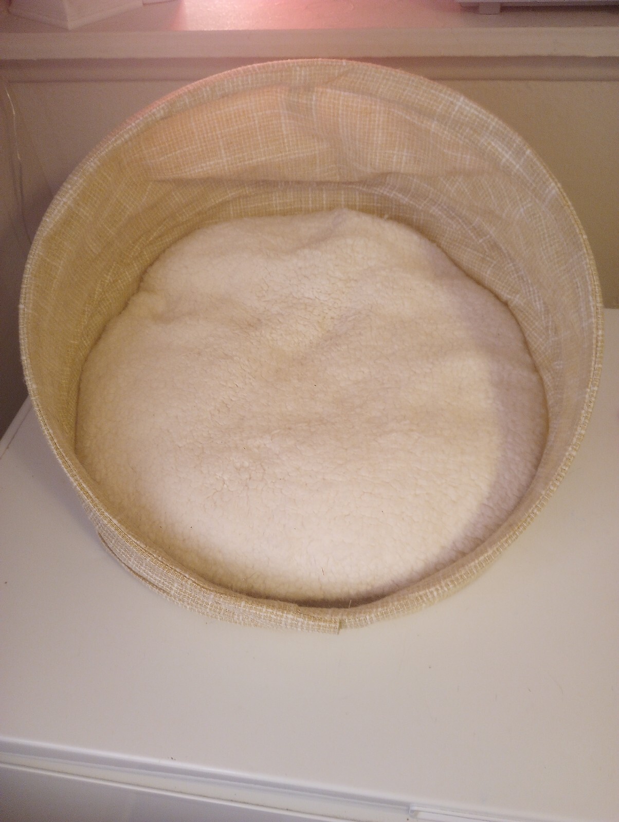 Boots and Barkley Cat Bed Small Pet Bed Pet Cave Collapsible Cushion eBay