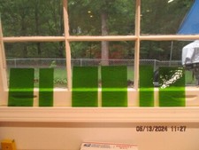 681 Stained glass 6 sheets various size Vintage spectrum Pea green textured