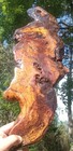 Bild 8 von 16