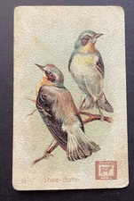 John Dwight & Co N Y Cow Brand Arm & Hammer Trading Card Beautiful Birds #19