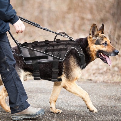 no pull harness for german shepherd