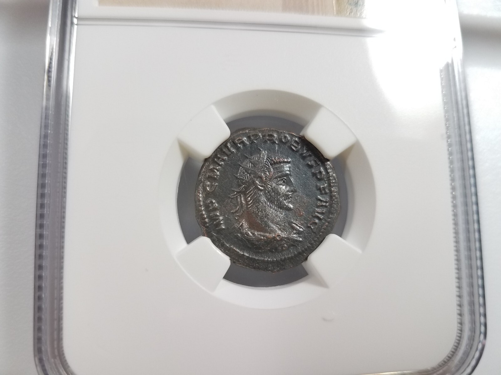 Picture 11 of 23
