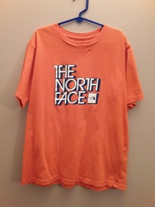 camiseta the north face
