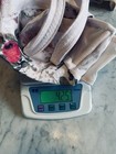 Foto 10 di 10