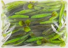 STRIKE KING KVD SWIM'N CAFFEINE SHAD JR 100 PACK BULK 4" GRN PUMPKIN CHART E7411