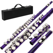 Ktaxon Standard Purple School Band Student 16 Closed Hole C Flute