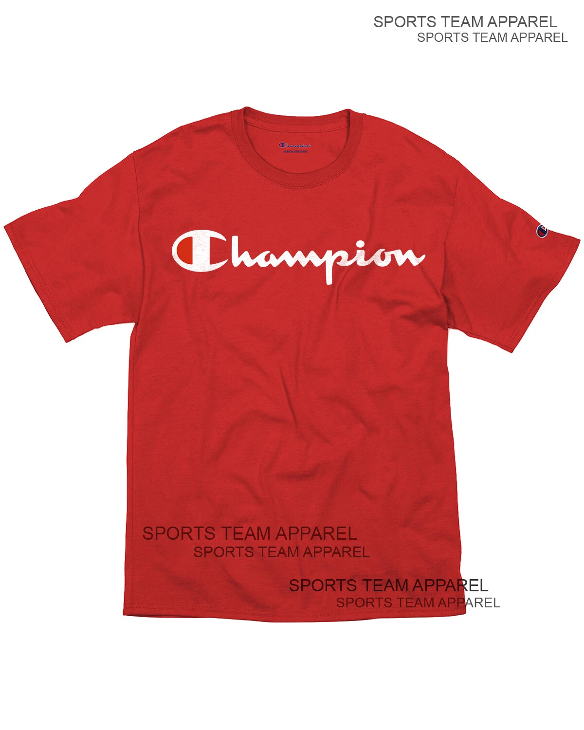 Champion Men's Jersey T-Shirt Classic Fit with Script Logo