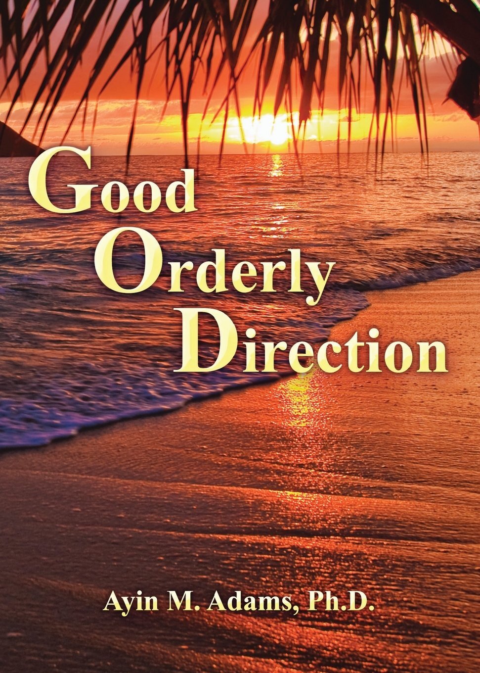 Ayin Adams Good Orderly Direction (taschenbuch)
