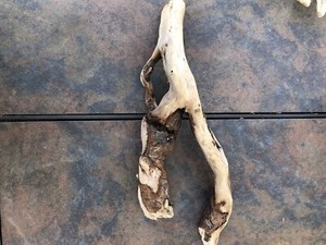 Natural Driftwood for Plants Terrarium Taxidermy Art Projects