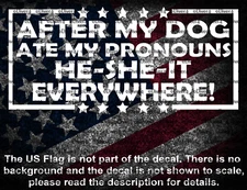 After My Dog Ate My Pronouns He-She-It Everywhere Funny Vinyl Decal US Made