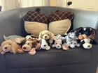 Ty Beanie Baby Puppy/Dog Lot of 12 Vintage Collectible Stuffed Animals Plush