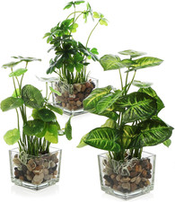 Set of 3 Fake Plants, Small Artificial Potted Plants Indoor in Clear Glass Po...