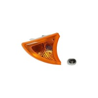 Blinkleuchte Vorne Rechts DT Spare Parts FüR U.A. Iveco Eurocargo