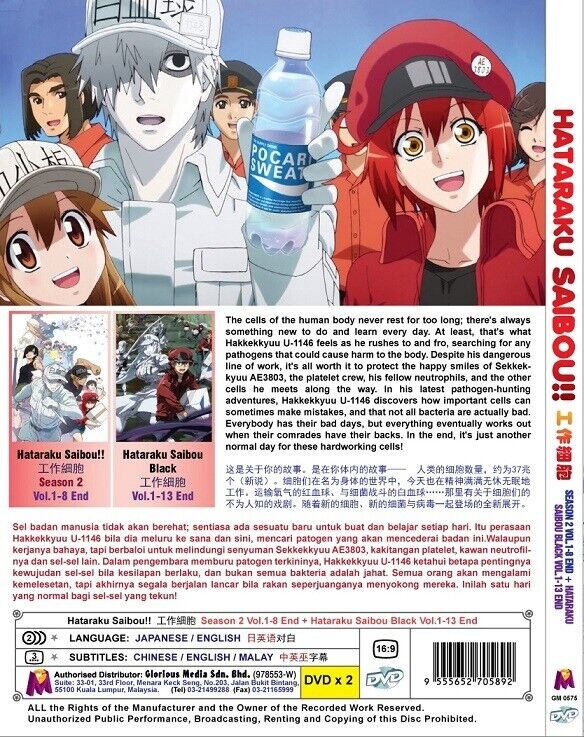 DVD Anime Hataraku Saibou (Cells At Work!) Season 2 + BLACK (1-21