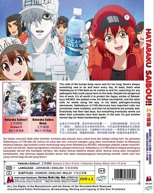 Anime DVD Hataraku Saibou Kaze Shoukougun Eng Sub&all Region L6