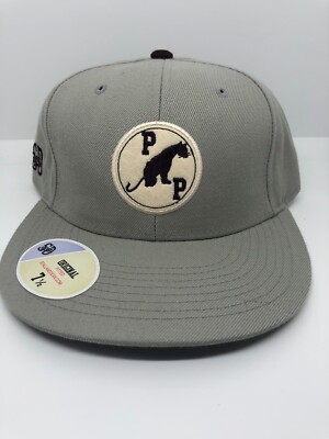 Paterson Panthers Hat. Stall & Dean. 7 1/2. Original.